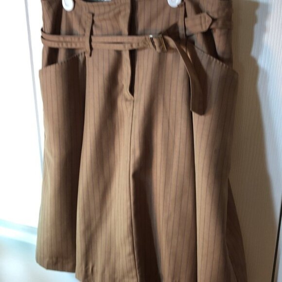 Size 2 Max Studio brown striped pleated mini skirt - Picture 4 of 7